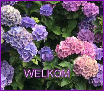juli welkom.jpg